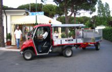 Golf Utilitaire électrique pour l'entretien du Camping