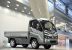 electric trucks