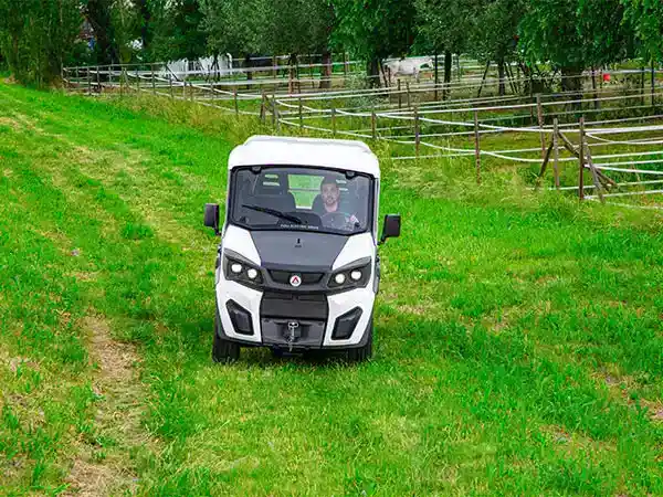 Vehículos eléctricos para parques y fincas