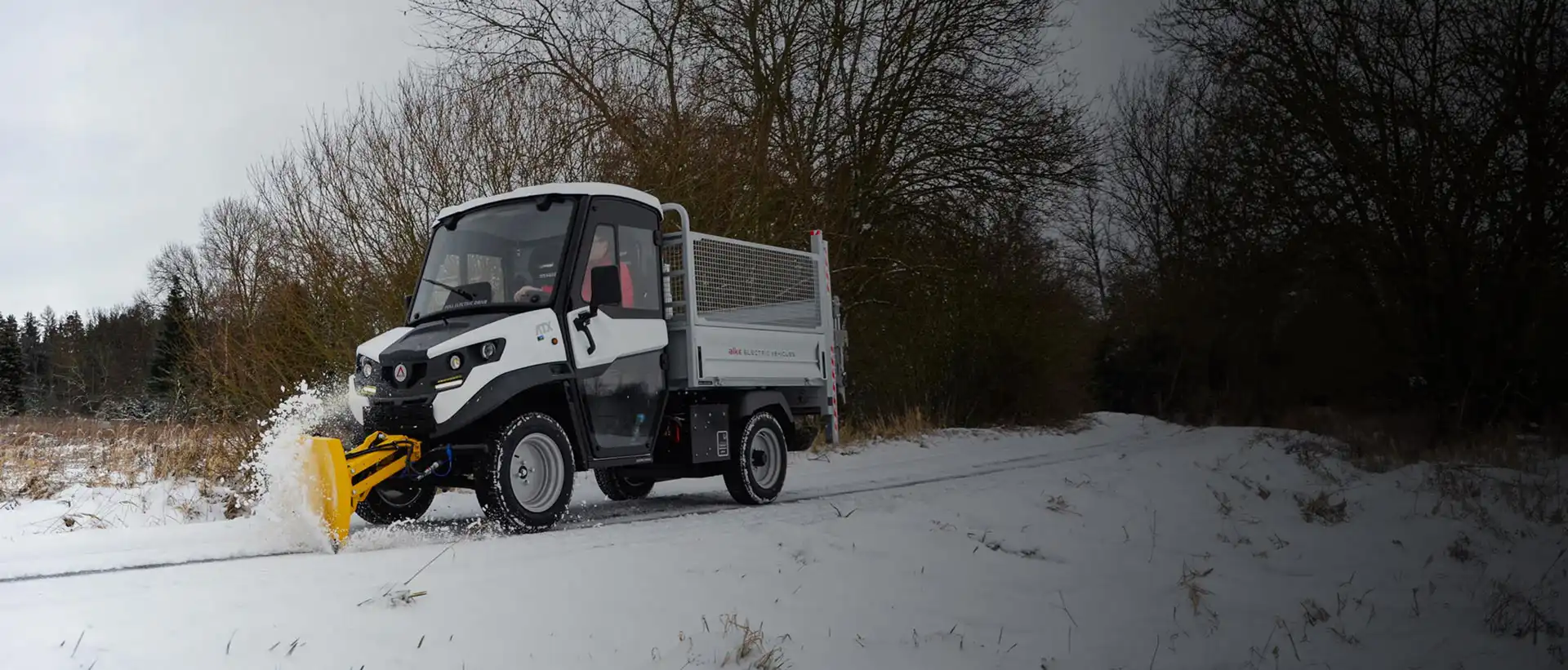 vehículos eléctricos quitanieves