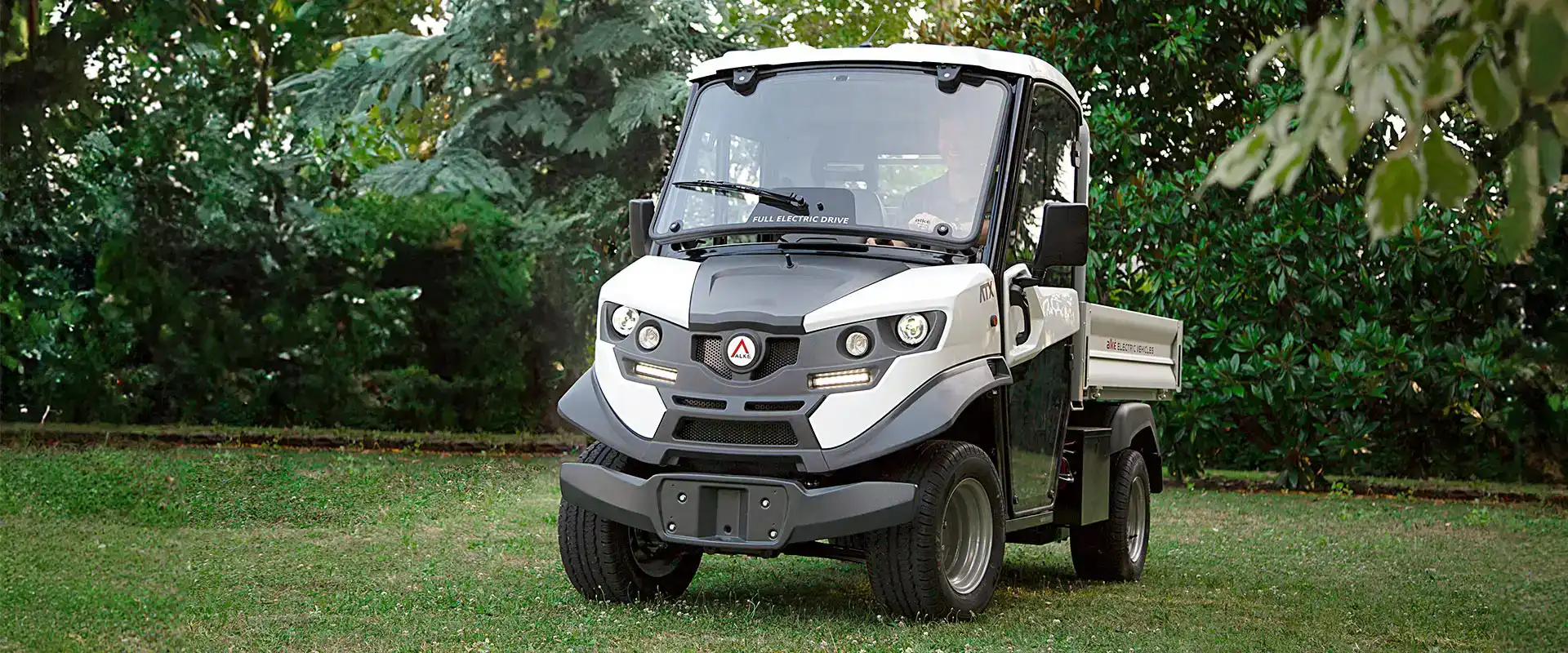 golfette electrique alke